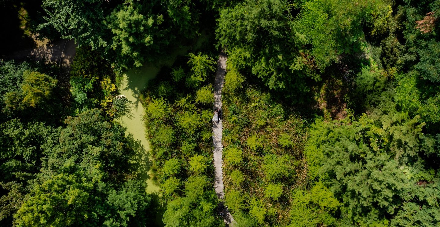 Piotr Drabik Wedding Photography