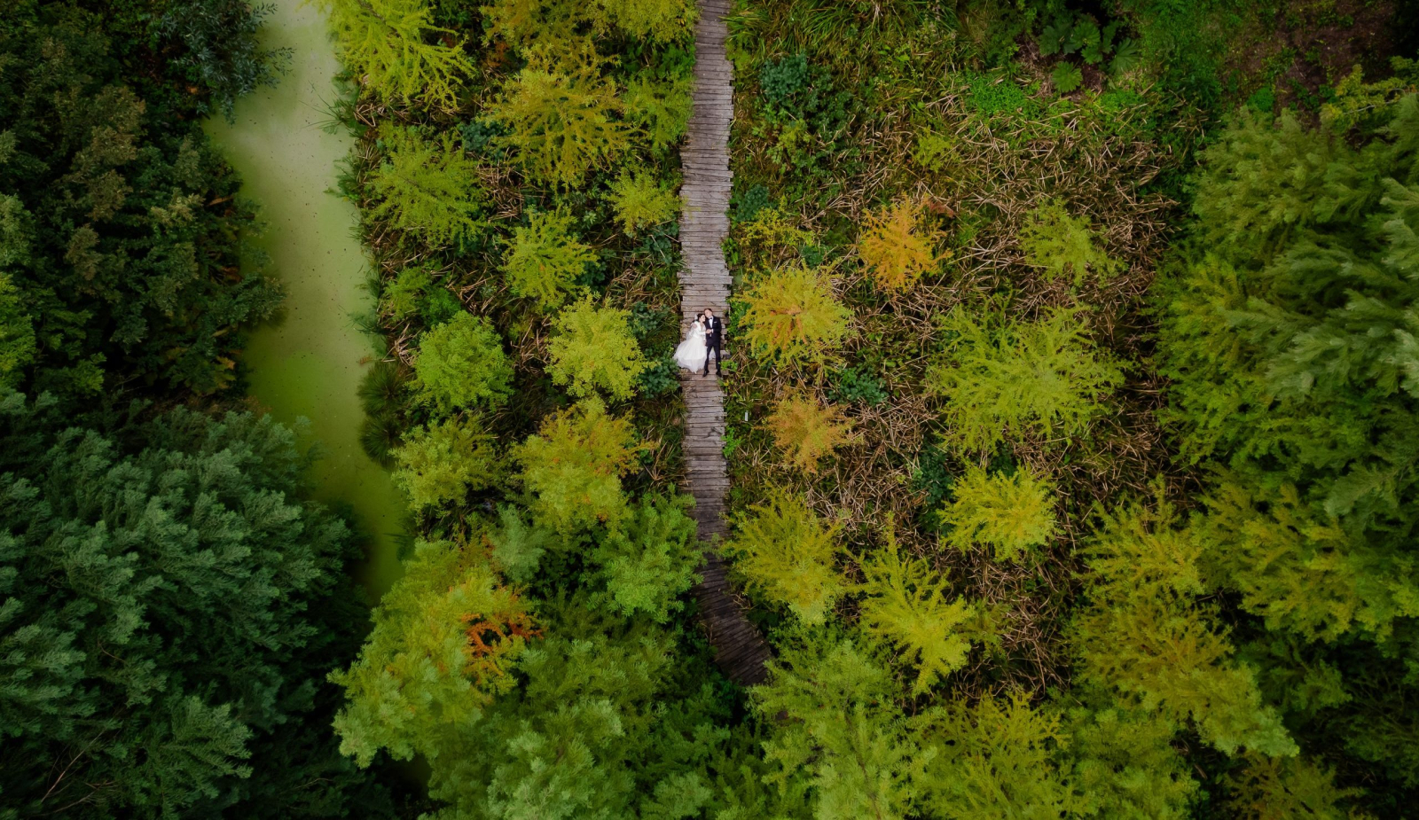 Piotr Drabik Wedding Photography