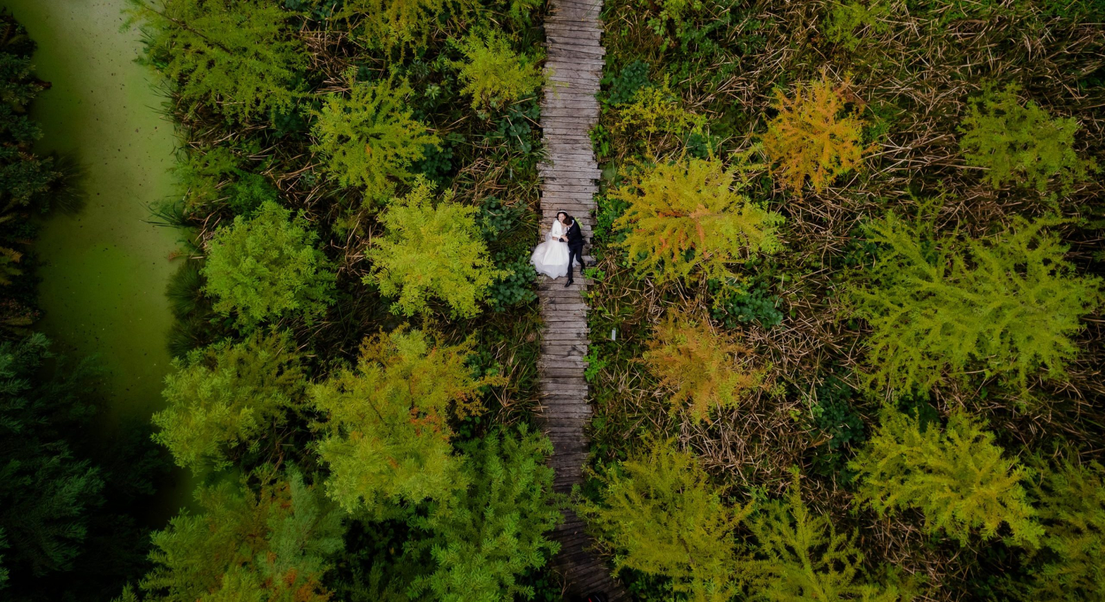 Piotr Drabik Wedding Photography