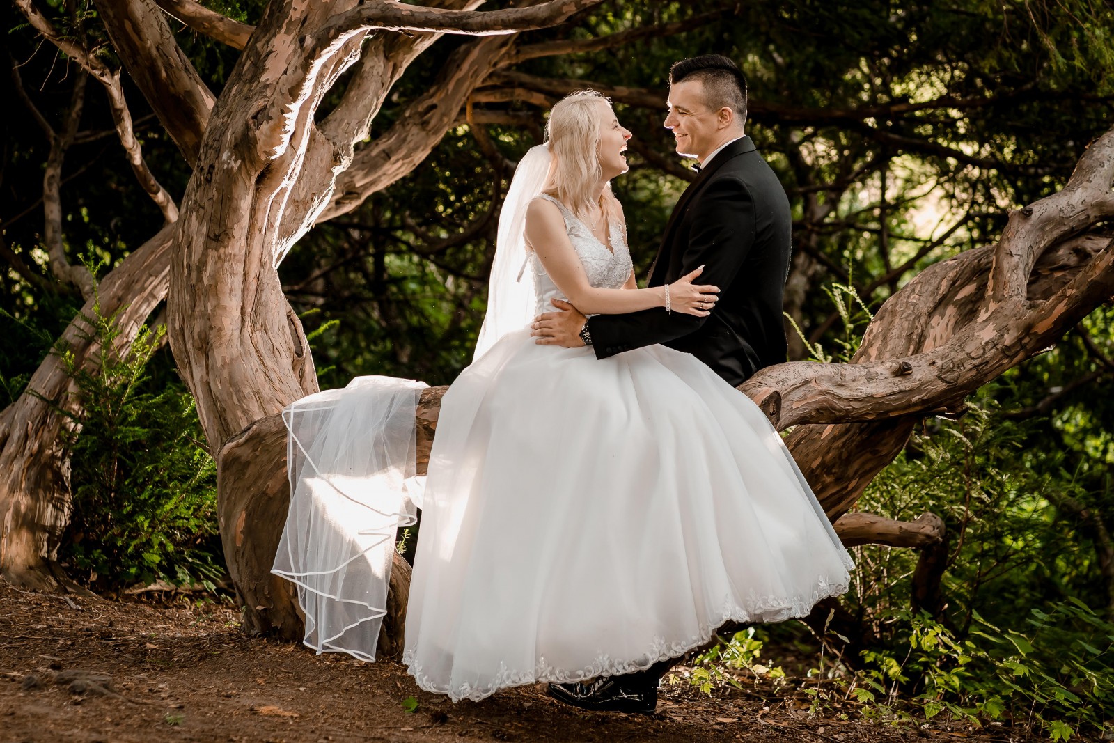 Piotr Drabik Wedding Photography