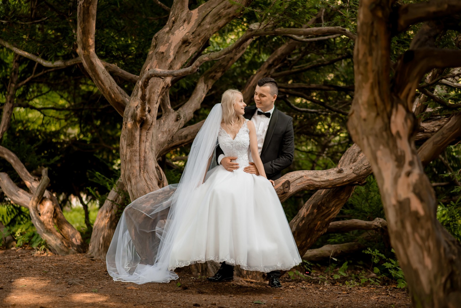 Piotr Drabik Wedding Photography